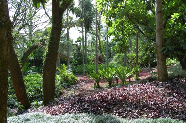 Sítio Roberto Burle Marx